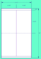 4 1/4" X 13" Automotive Industry Laser Labels (A.I.A.G. Size For