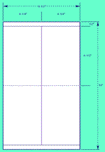 4 1/4" X 13" Automotive Industry Laser Labels (A.I.A.G. Size For