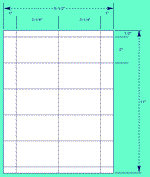 3 1/4" X 2" U.S. Postal Service Tray Tags